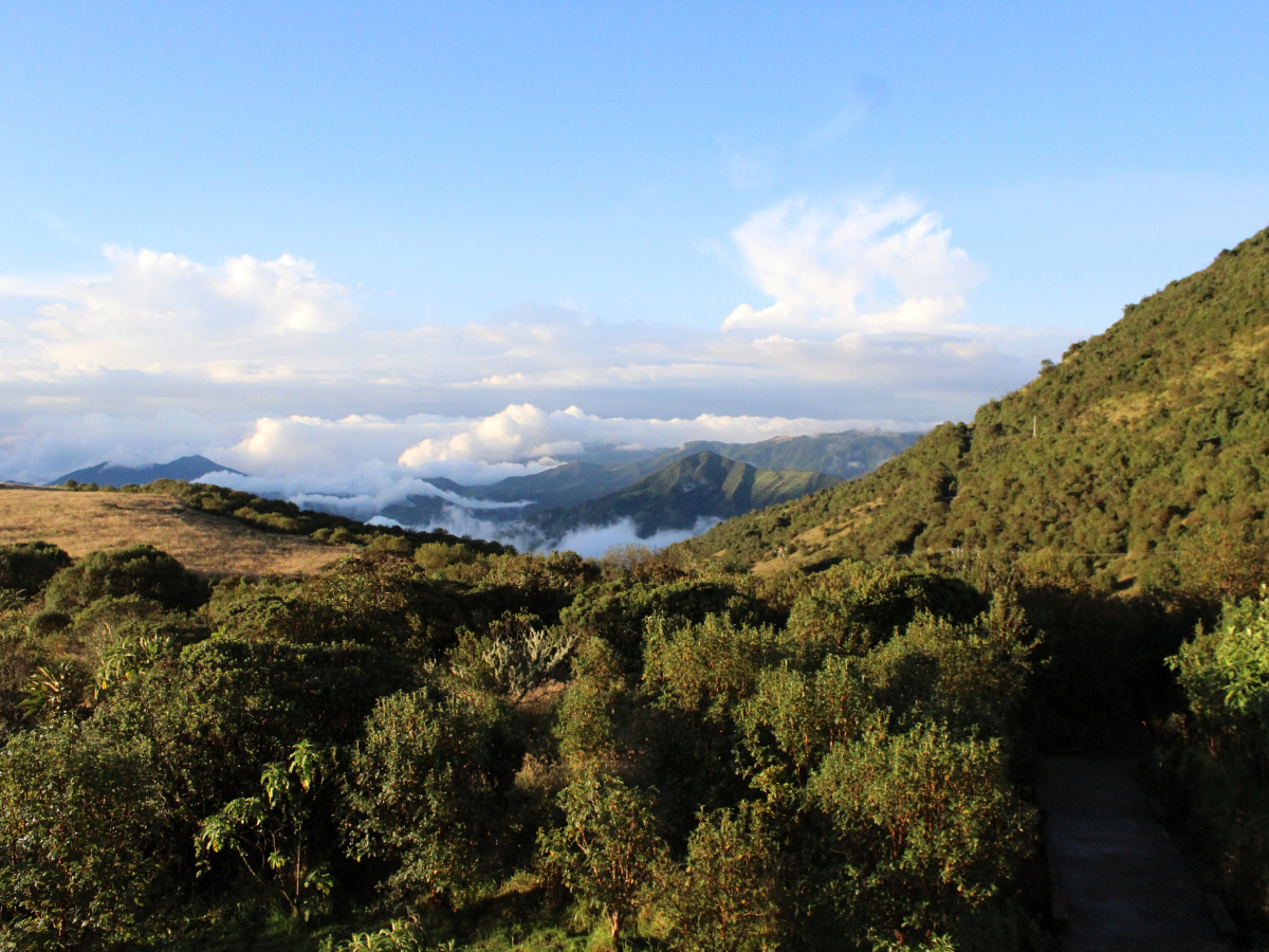La crisis climática confirma la estrategia de expansión altitudinal que sigue Jocotoco en sus reservas